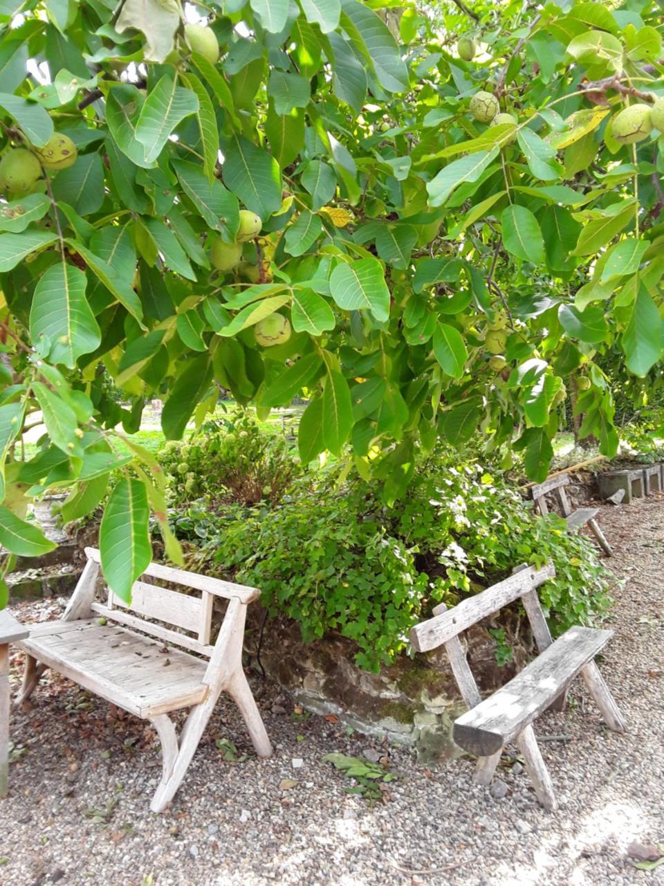 B&B Sapere Genoelselderen Bagian luar foto